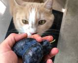 Tarte aux prunes   étape de la recette 1 photo